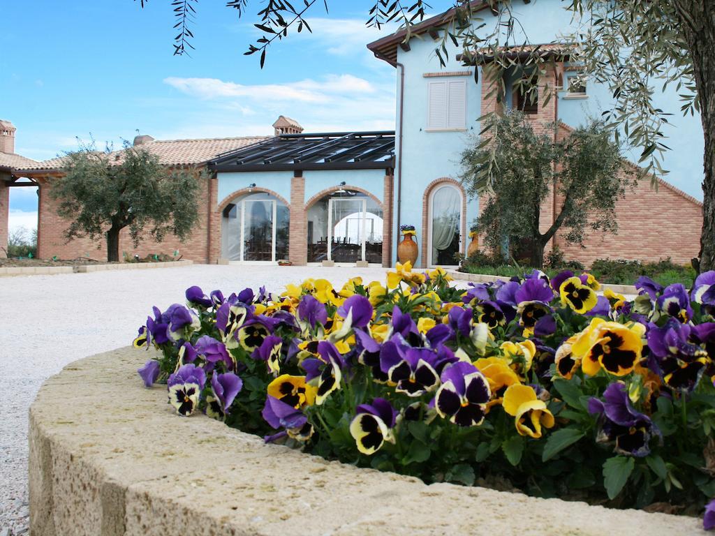 Agriturismo L'Infinito Βίλα Gambettola Εξωτερικό φωτογραφία